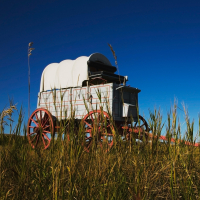 A Chuckwagon Trail Western (Series Set)