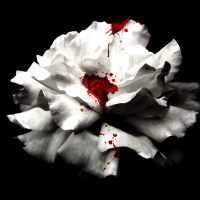 Crave (Series Set)