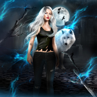 Shadow City: Silver Wolf (Series Set)