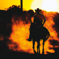 Smoke Jensen The Beginning (Series Set)