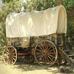 Kerrigans (Series Set)