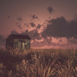 A Marjorie Trumaine Mystery (Series Set)