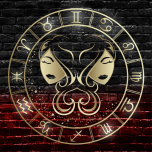 Zodiac Academy (Series Set)